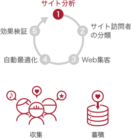 .サイト分析